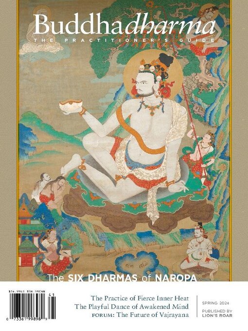 Title details for Buddhadharma: The Practitioner's Quarterly by Shambhala Sun Foundation - Available